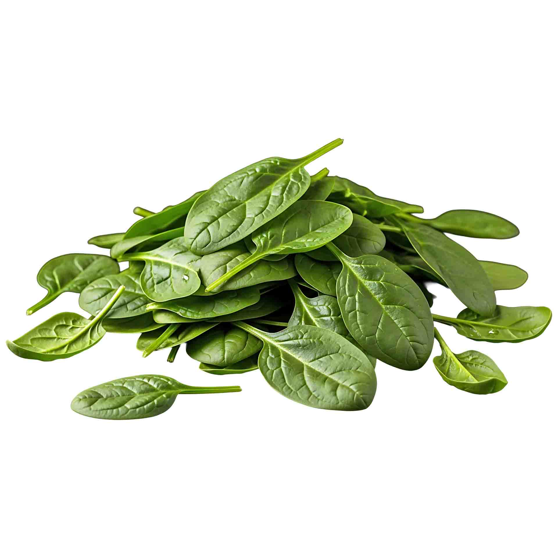 “Baby Spinach Bag”