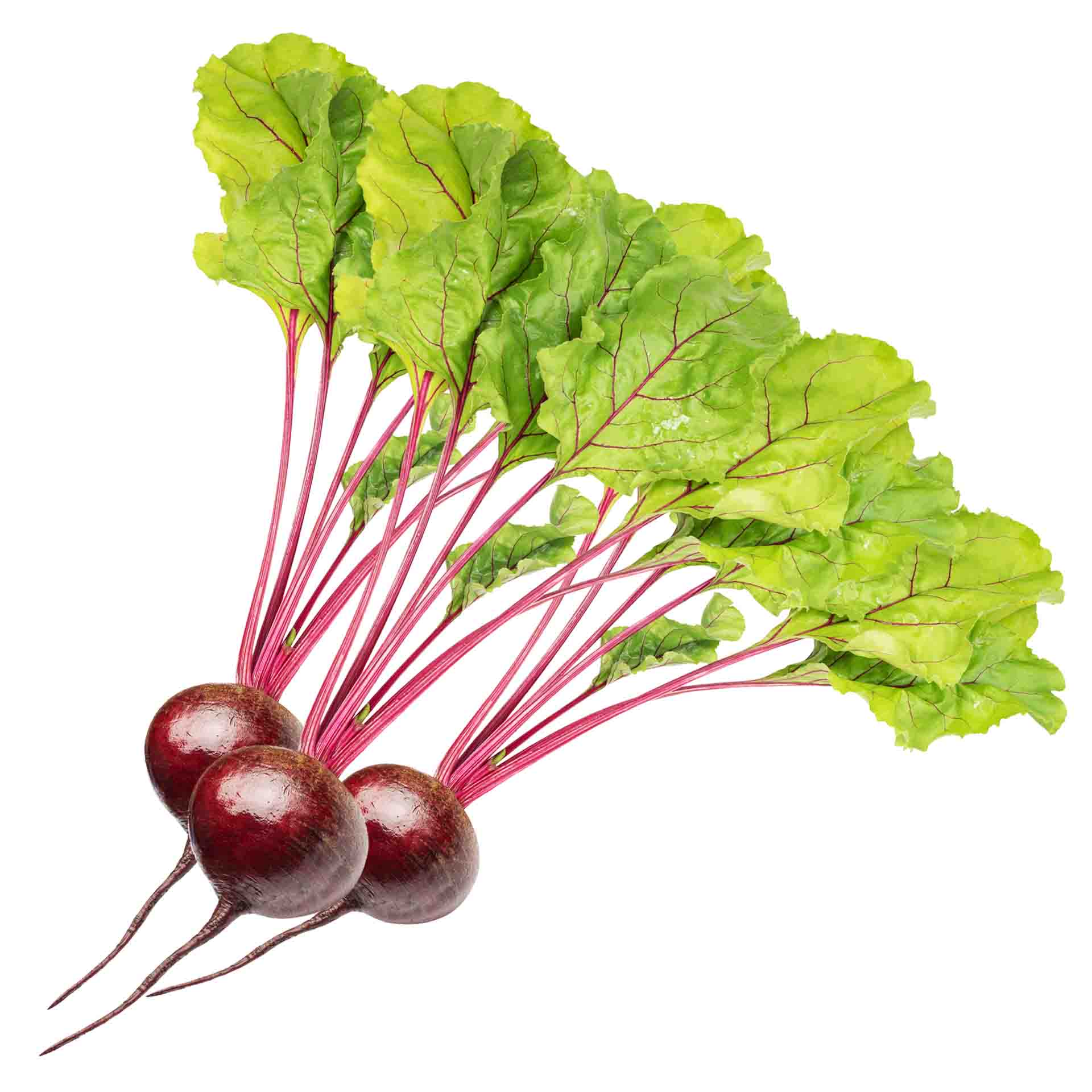“Beetroot Red Bunched”