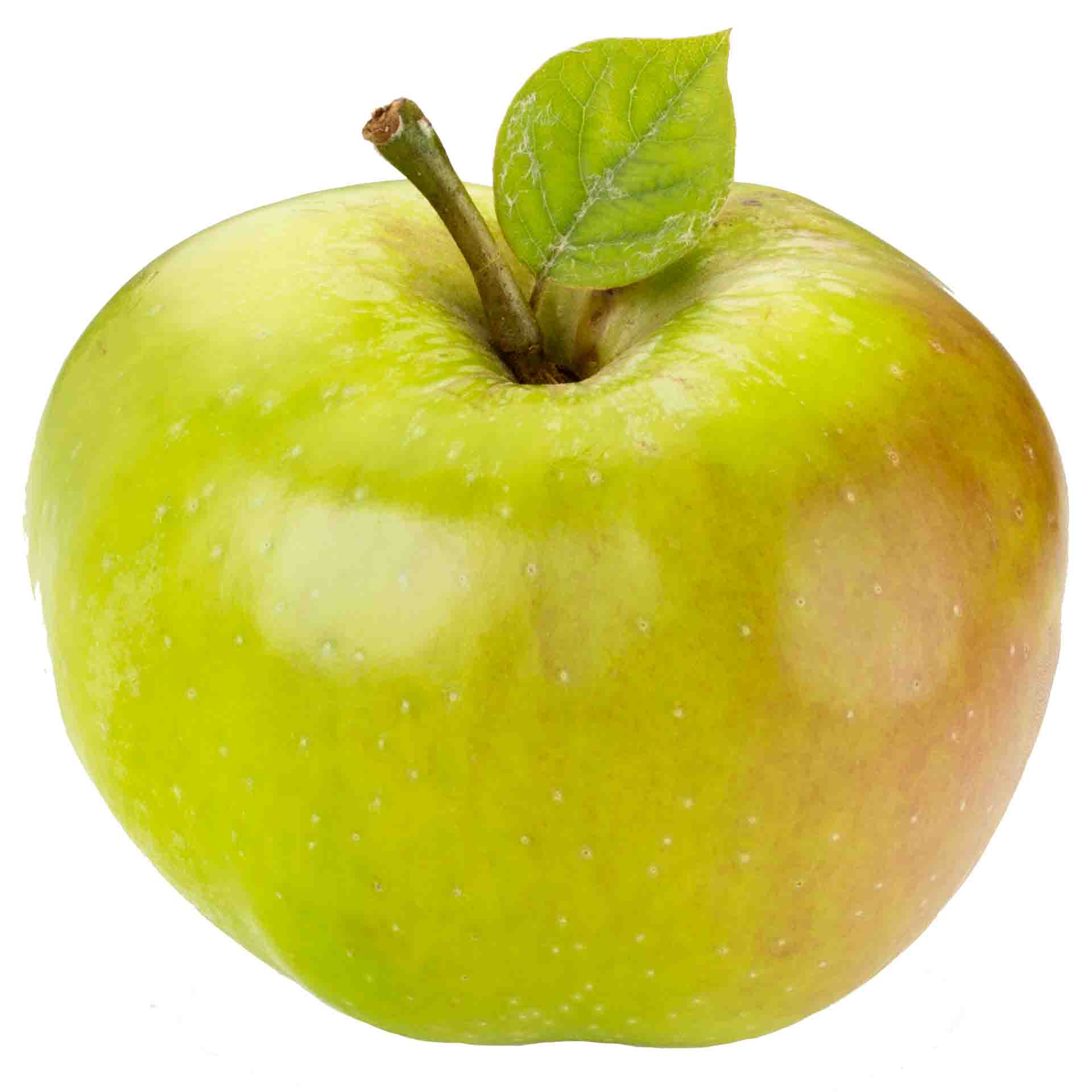 “Bramley Cooking Apples”