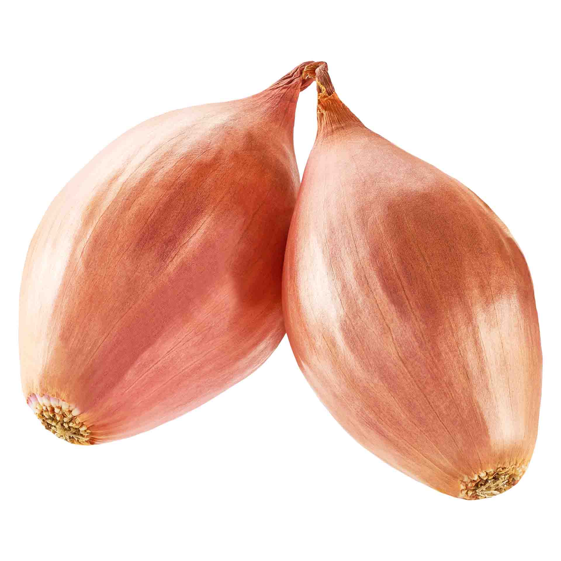 Shallots